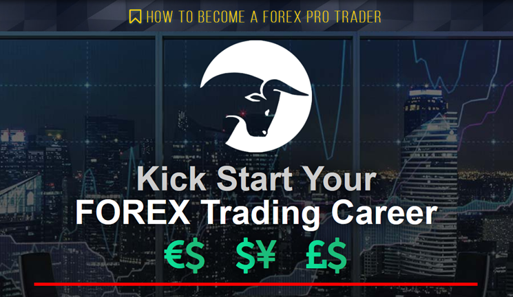 Live Traders - How To Become A Forex Pro Trader