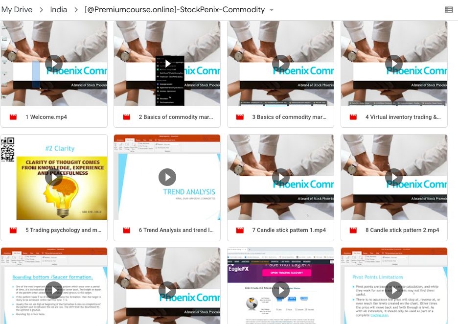 Stock Phoenix-Commodity Course-Premium - Image 2