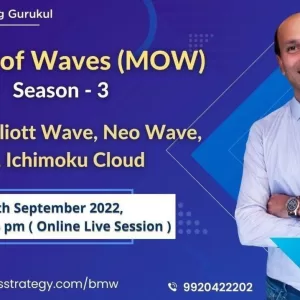 Ashish Kyal 2022 Master of Waves Course