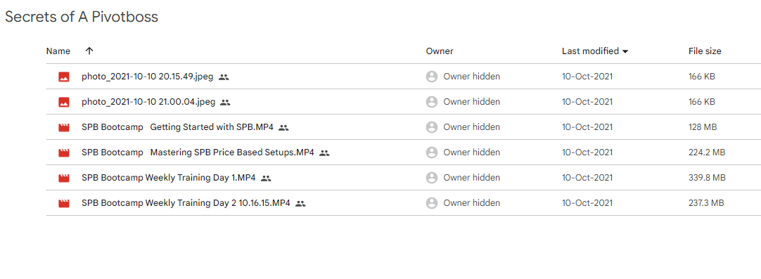 Secrets of A Pivotboss Trading Course Premium - Image 2