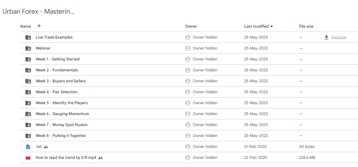 Urban Forex mastering price action 2.0 - Image 2