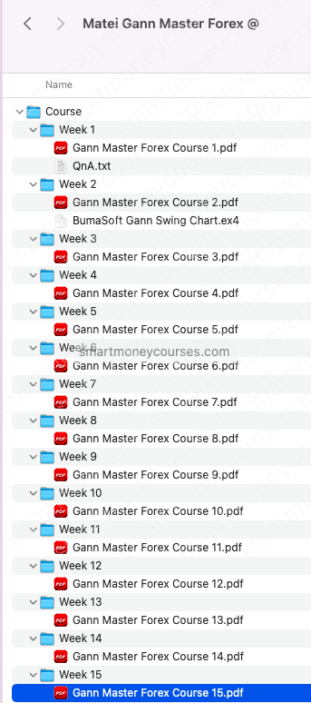 Matei Gann Master Forex Course 2023 - Image 3