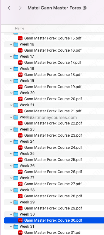 Matei Gann Master Forex Course 2023 - Image 2