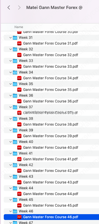 Matei Gann Master Forex Course 2023 - Image 4