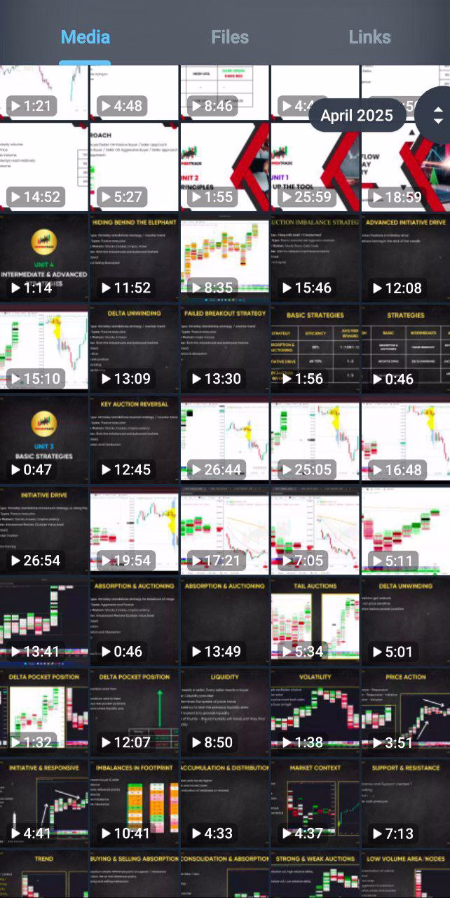 photo 2025 04 11 19 49 53